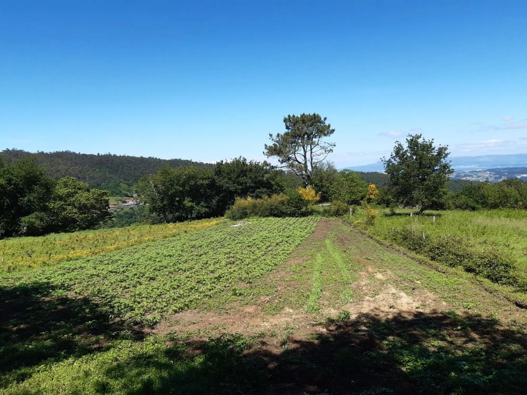 Land for sale in Meis, Pontevedra photo 3