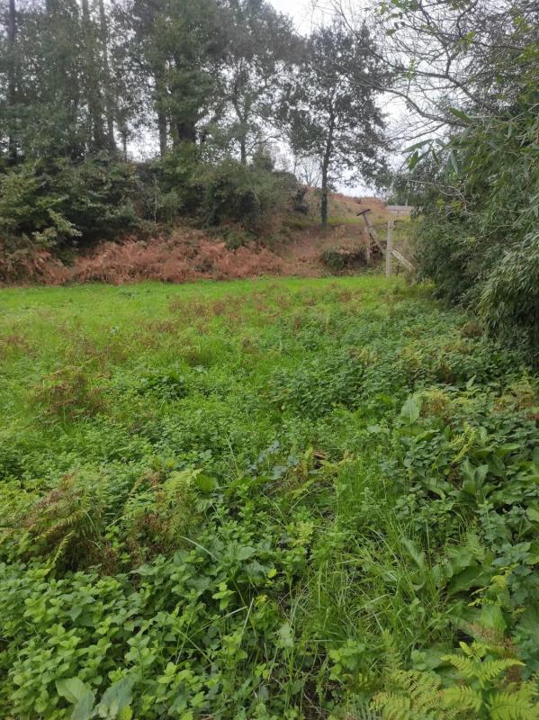 Land for sale in Meaño, Pontevedra photo 1