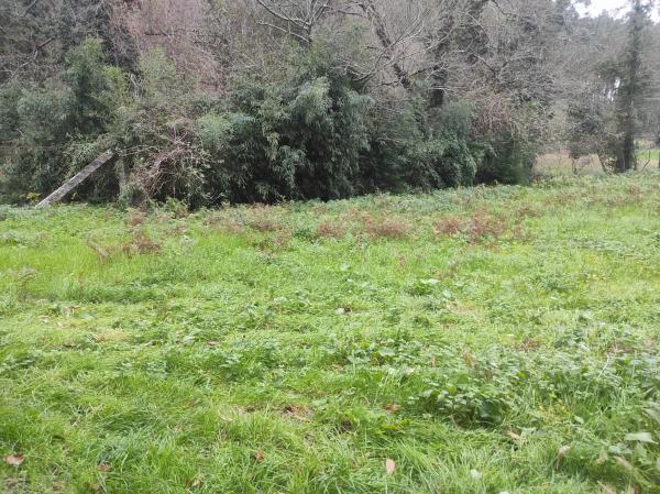Terreno en Lugar Cacheiro, 10 photo 2