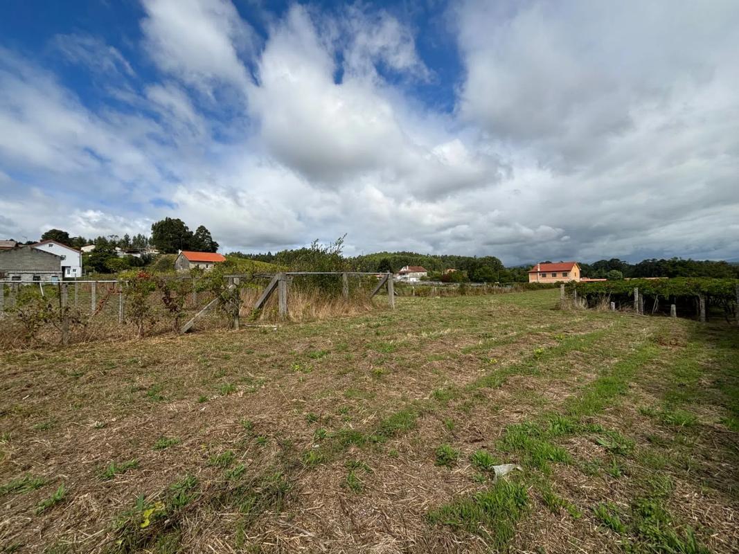 Land for sale in Meis, Pontevedra photo 4