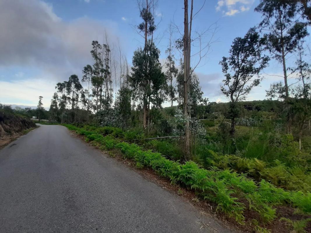 Land for sale in Vilagarcía de Arousa, Pontevedra photo 2