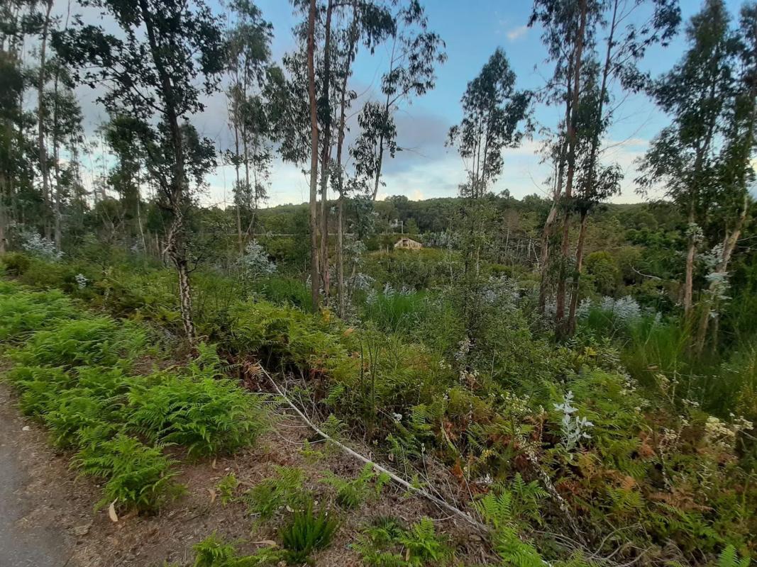 Land for sale in Vilagarcía de Arousa, Pontevedra photo 3