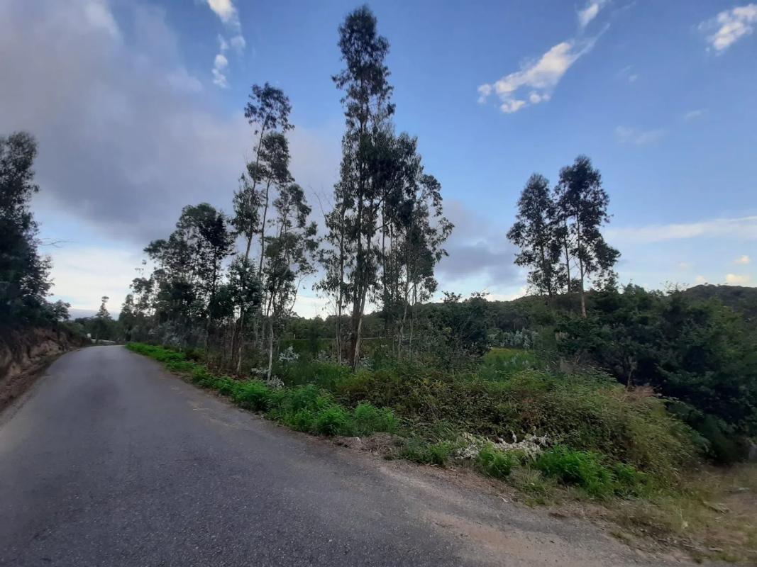 Land for sale in Vilagarcía de Arousa, Pontevedra photo 5
