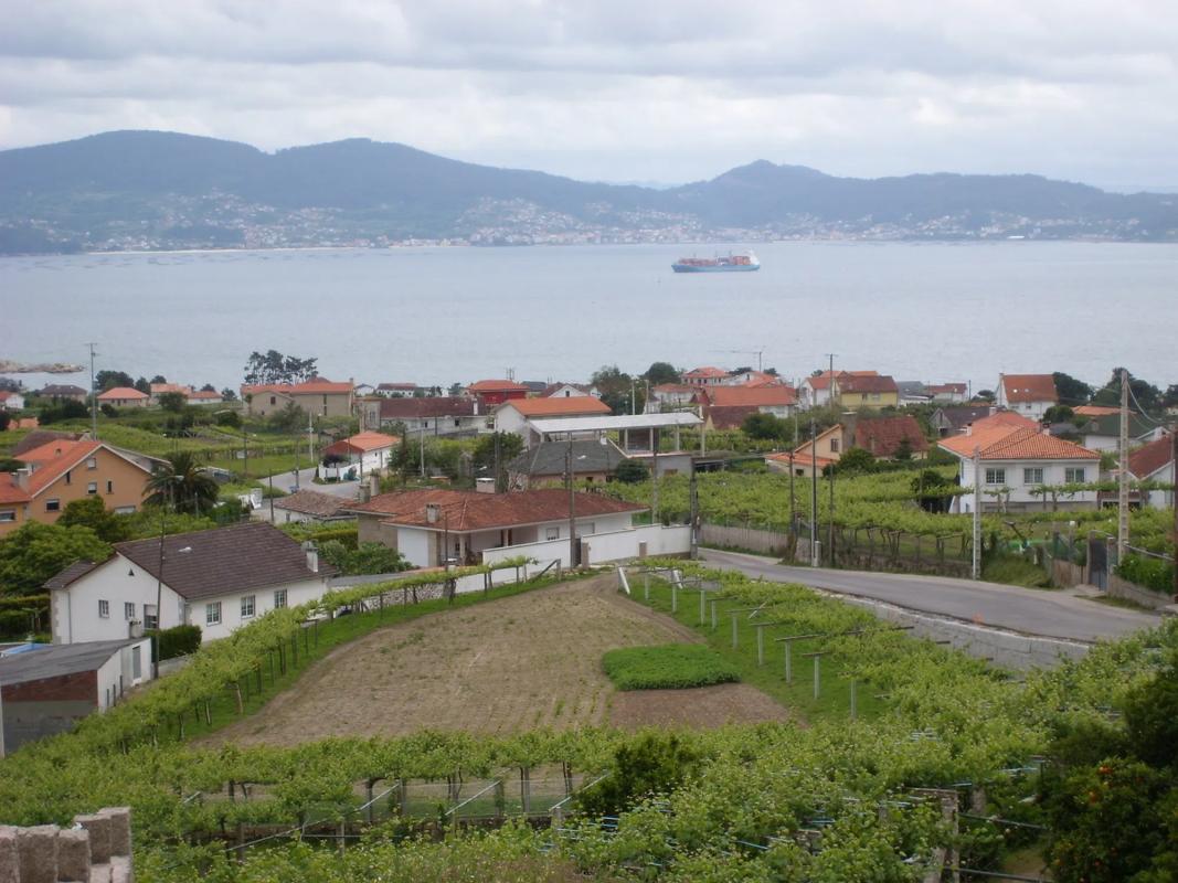 Terreno en venta en Sanxenxo, Pontevedra photo 2