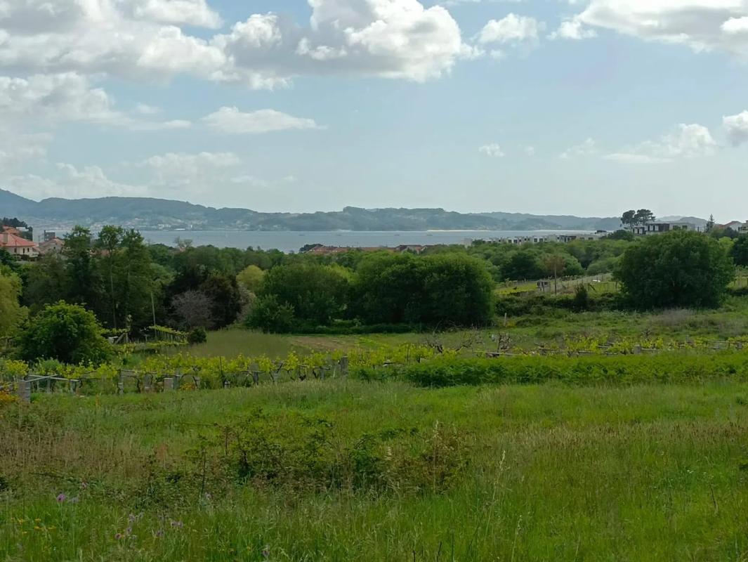 Terreno en venta en Sanxenxo, Pontevedra photo 2