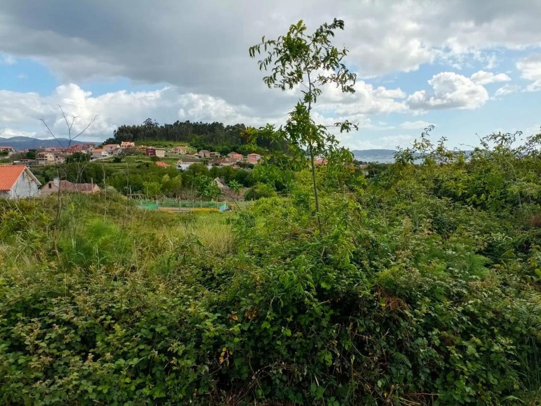 Terreno en venta en Sanxenxo, Pontevedra photo 5