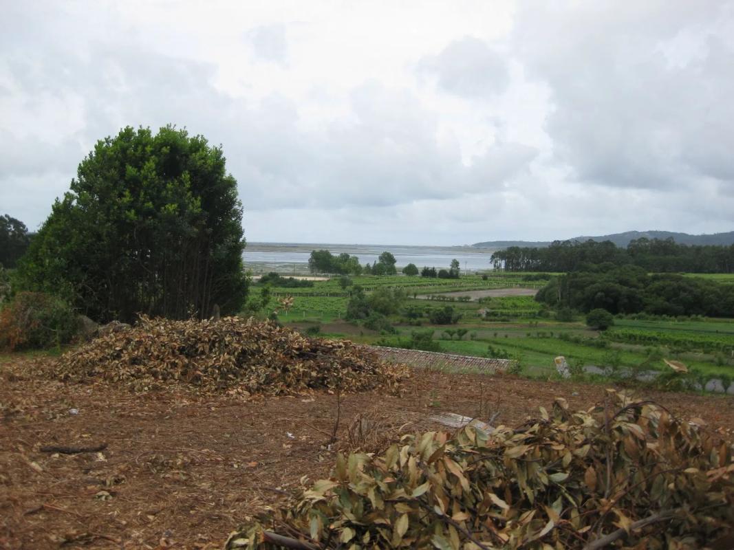 Terreno en venta en Cambados, Pontevedra photo 3