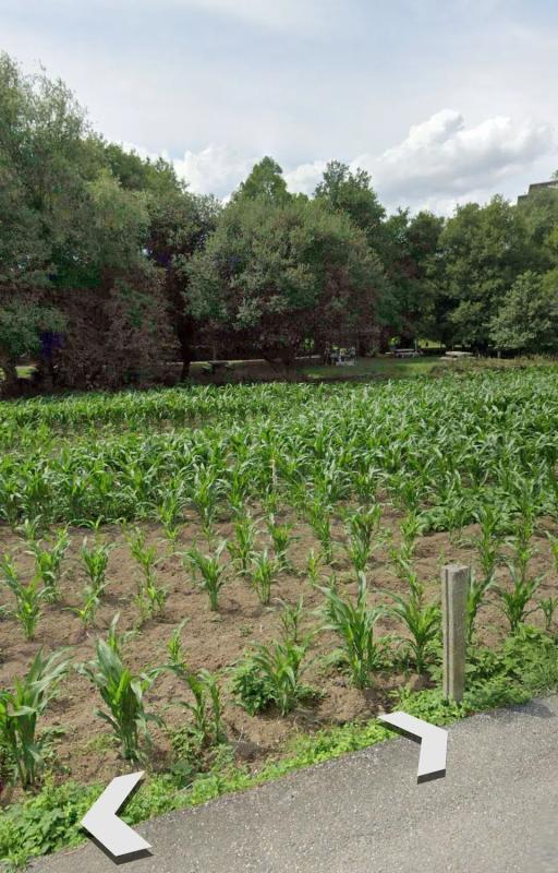 Terreno en venta en Vilagarcía de Arousa, Pontevedra photo 4