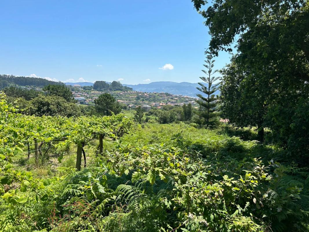Land for sale in Sanxenxo, Pontevedra photo 1