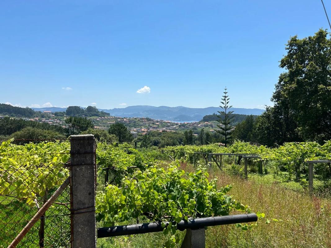 Land for sale in Sanxenxo, Pontevedra photo 4