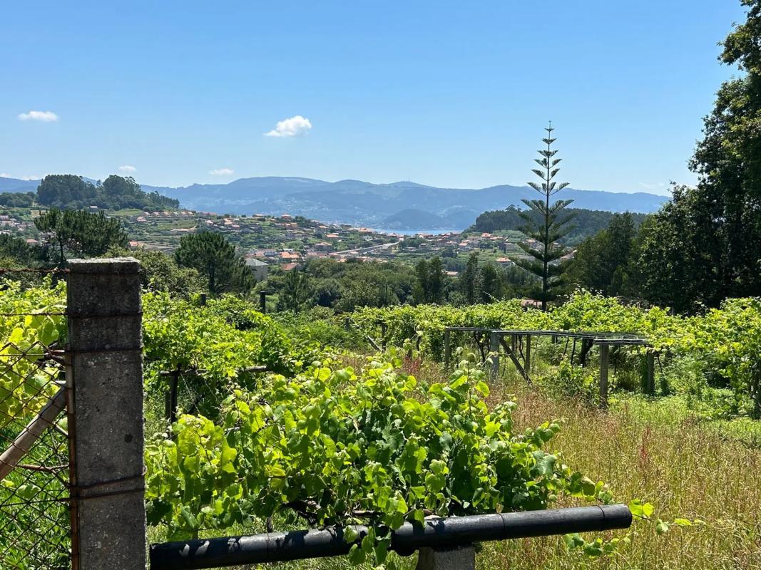 Land for sale in Sanxenxo, Pontevedra photo 5