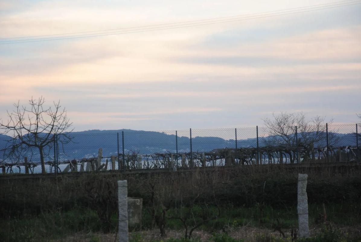 Terreno en venta en Sanxenxo, Pontevedra photo 2