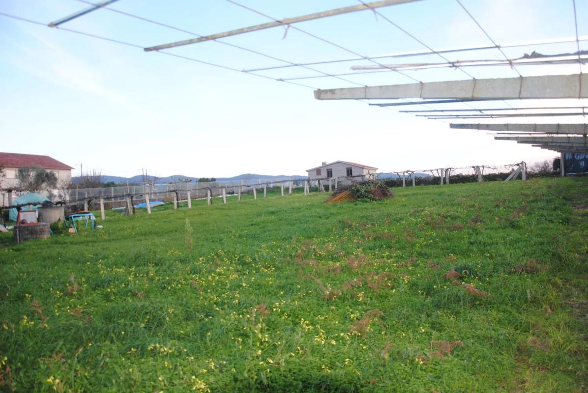 Terreno en venta en Sanxenxo, Pontevedra photo 4