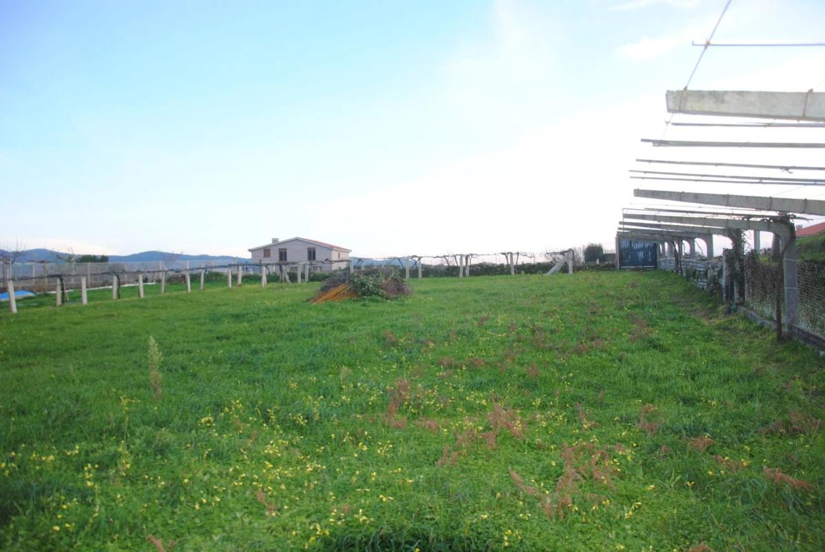 Terreno en venta en Sanxenxo, Pontevedra photo 5
