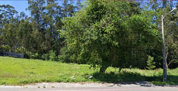 Terreno en Lugar Busto s/n photo 3