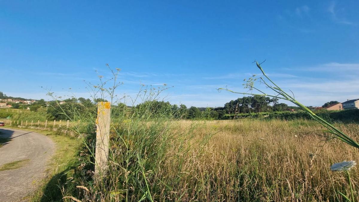 Terreno en venta en Sanxenxo, Pontevedra photo 2