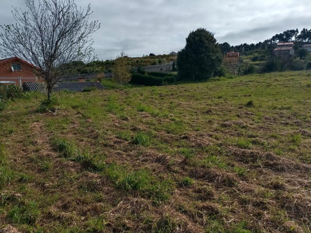 Działka na sprzedaż w Sanxenxo, Pontevedra photo 5