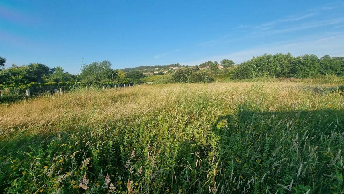 Terreno en venta en Sanxenxo, Pontevedra photo 3