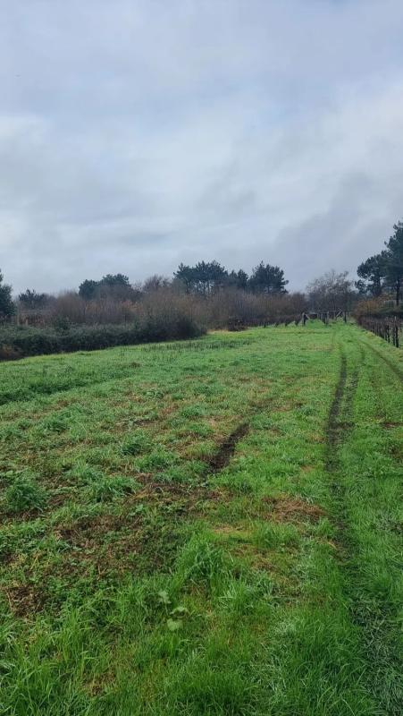 Terreno en venta en Sanxenxo, Pontevedra photo 3