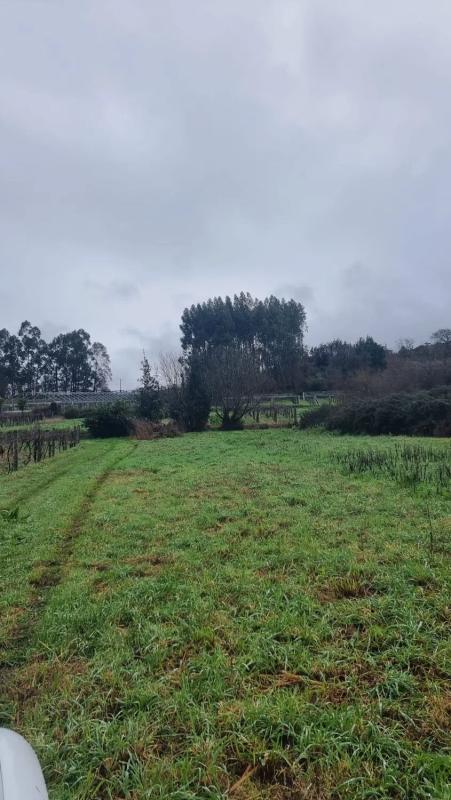 Terreno en venta en Sanxenxo, Pontevedra photo 4