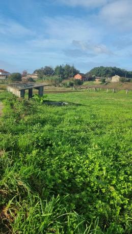 Terreno en Lugar saramagoso s/n photo 4