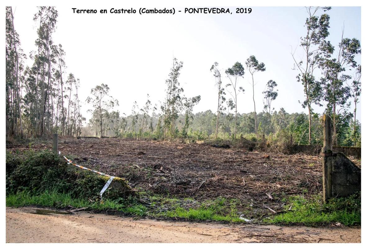 Terreno en venta en Cambados, Pontevedra photo 4