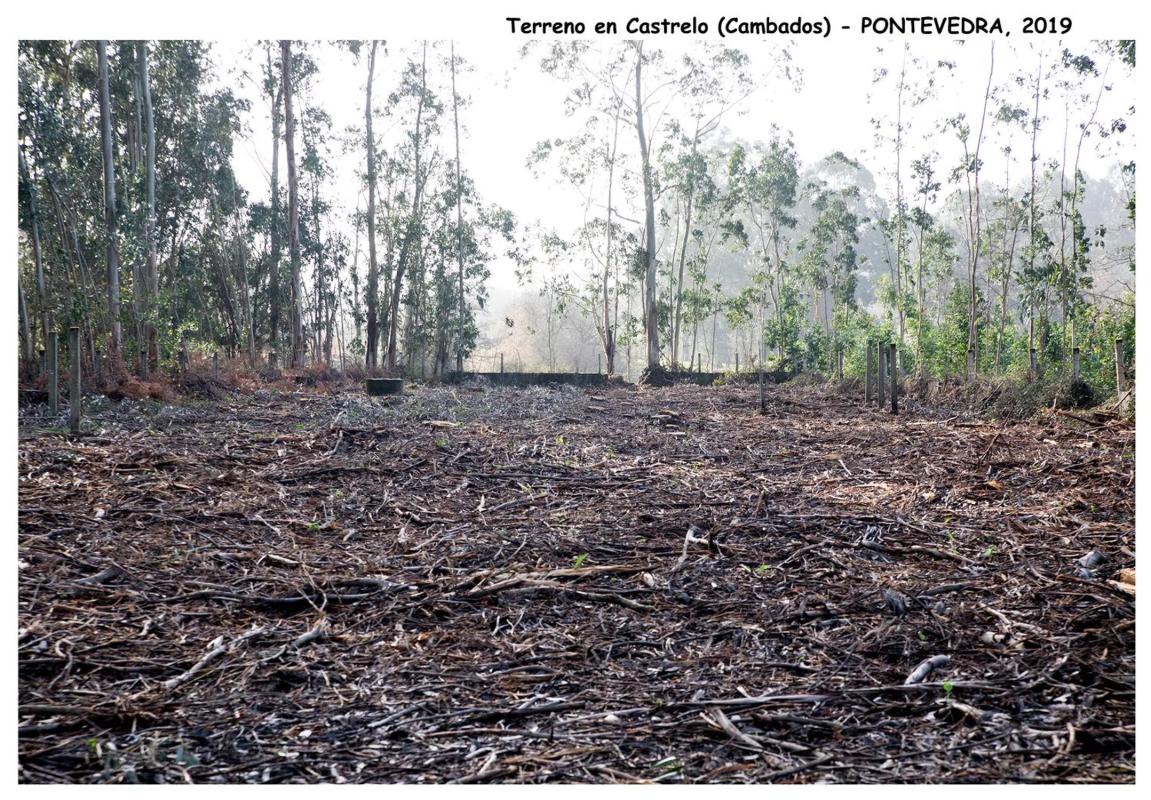 Terreno en venta en Cambados, Pontevedra photo 5