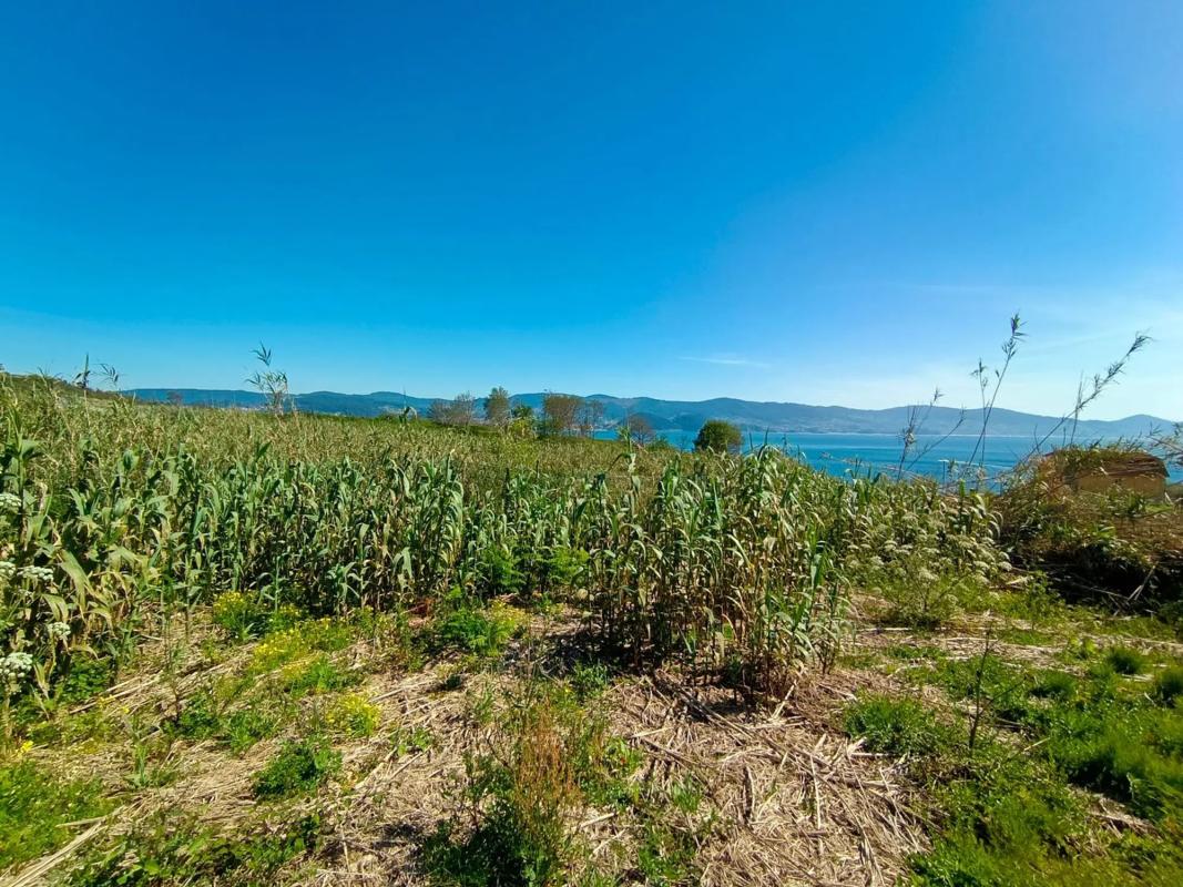 Terreno en venta en Sanxenxo, Pontevedra photo 5