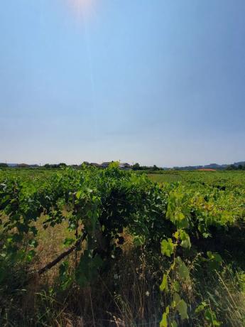 Terreno en calle Casaldarnos s/n thumbnail 1