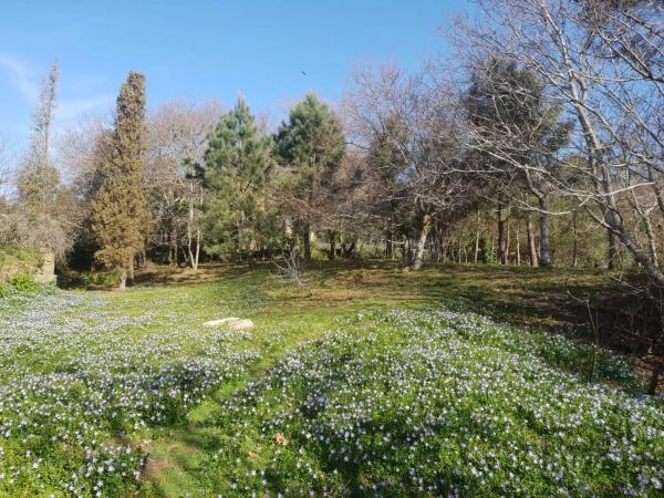 Terreno en camino do Outeiro, 5 photo 1