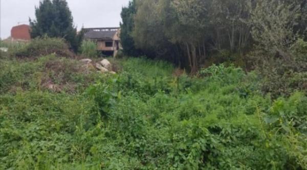 Terreno en cálago s/n photo 1