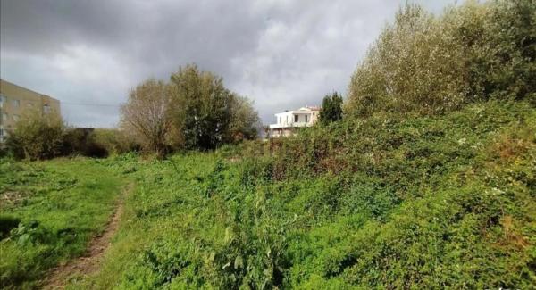 Terreno en cálago s/n photo 3