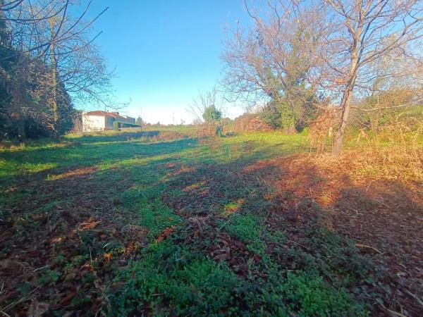 Terreno en po s/n photo 2