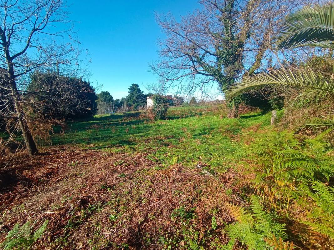 Terreno en venta en Sanxenxo, Pontevedra photo 3