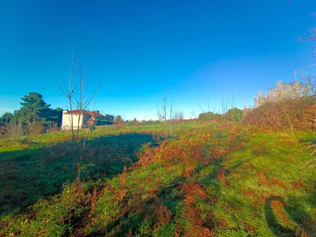Terreno en venta en Sanxenxo, Pontevedra photo 4
