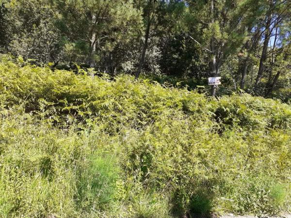 Terreno en Sanxenxo photo 2