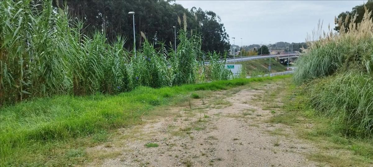 Terreno en venta en Sanxenxo, Pontevedra photo 3