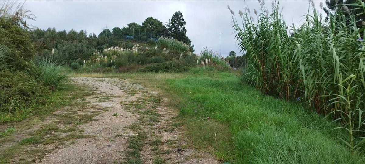 Terreno en venta en Sanxenxo, Pontevedra photo 4