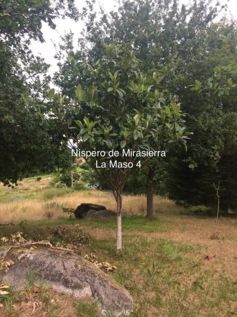 Terreno en Lugar Buezas, 1 photo 3