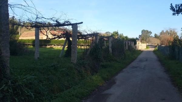 Terreno en Gondar photo 2