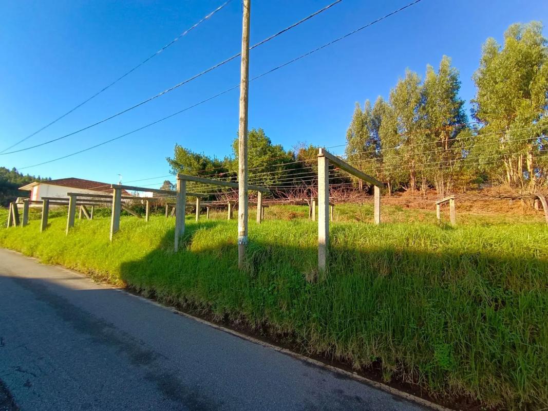 Land for sale in Sanxenxo, Pontevedra photo 4
