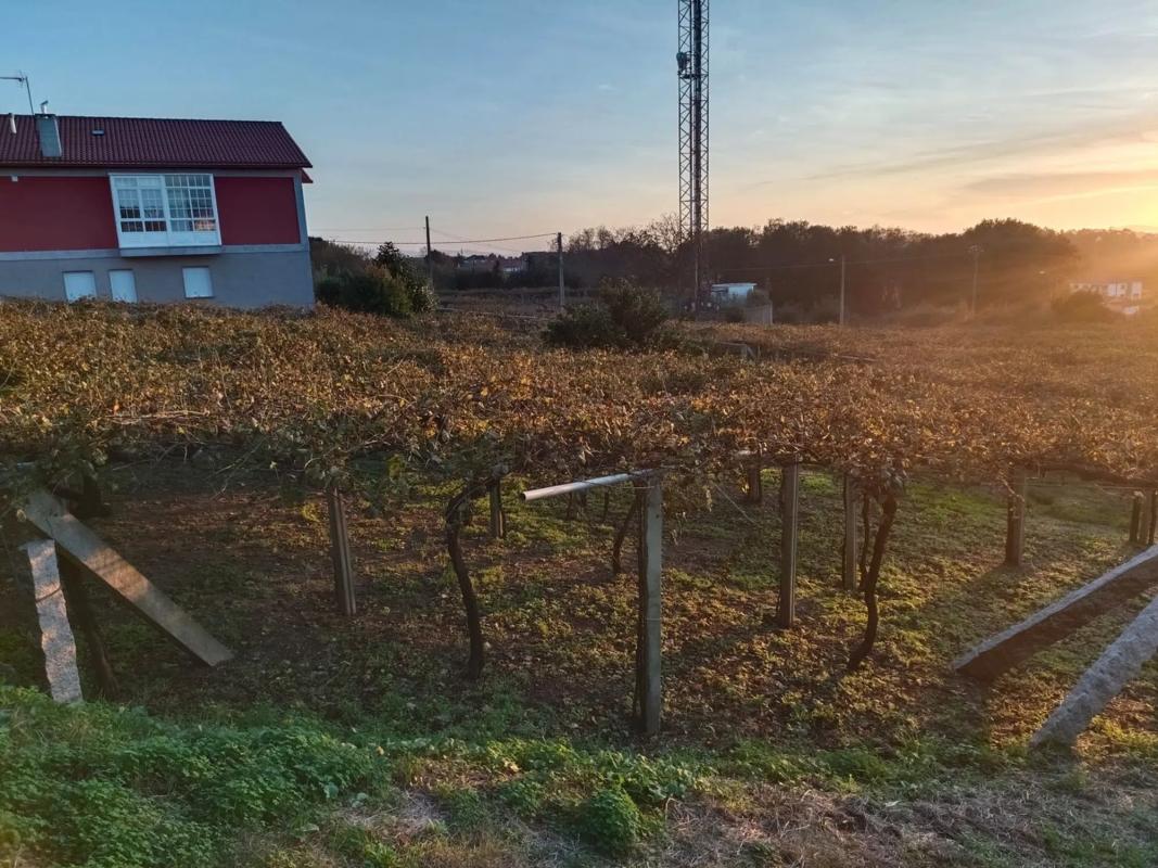 Land for sale in Sanxenxo, Pontevedra photo 4