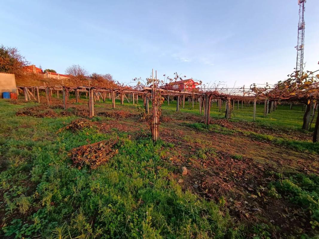 Land for sale in Sanxenxo, Pontevedra photo 5