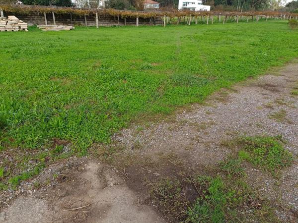 Terreno en Lugar Xesteiriña photo 1