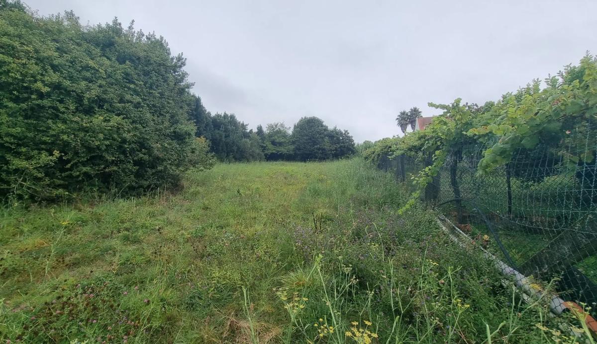 Land for sale in Sanxenxo, Pontevedra photo 3