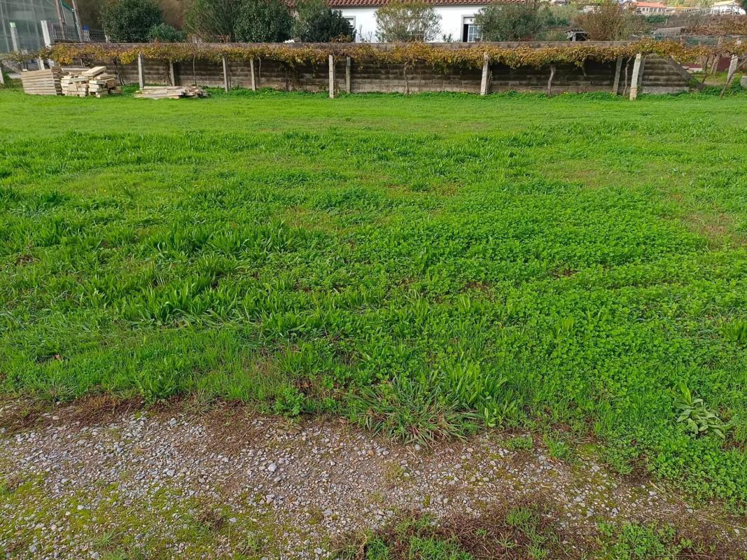 Land for sale in Sanxenxo, Pontevedra photo 3