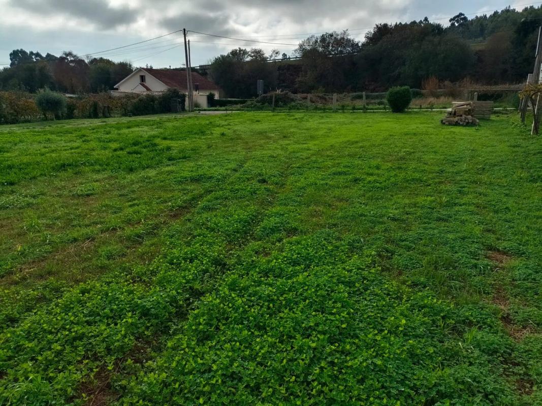 Land for sale in Sanxenxo, Pontevedra photo 4