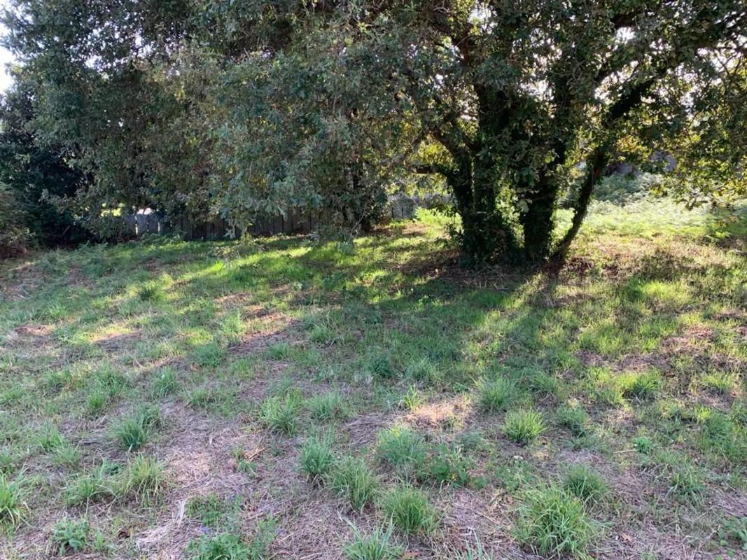 Terreno en venta en Vilagarcía de Arousa, Pontevedra photo 3
