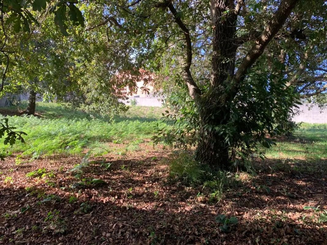 Terreno en venta en Vilagarcía de Arousa, Pontevedra photo 4