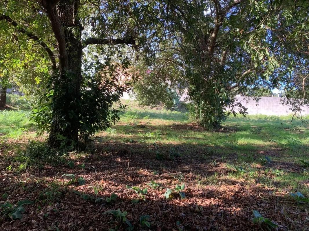 Terreno en venta en Vilagarcía de Arousa, Pontevedra photo 5